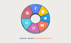social media demographic 2020